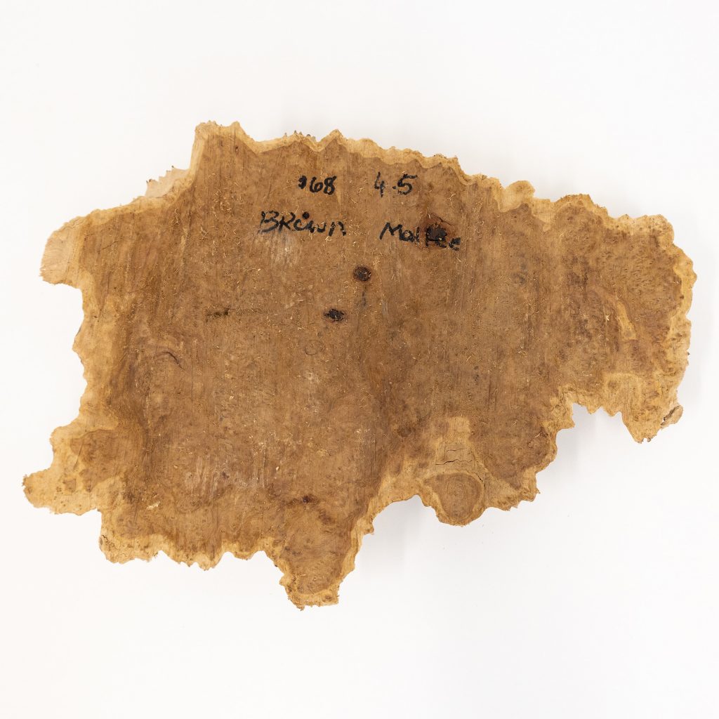brown mallee burl cap from William Wood-Write Ltd against white background