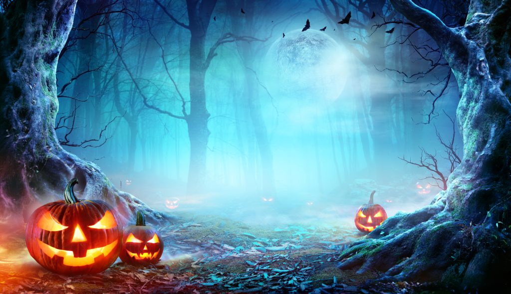 Three grinning jack-o-lanterns with glowing features sit on piles of leaves in front of a spooky forest